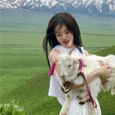 王冠的游戏：都铎家族
